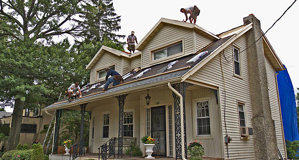 Best Storm Damage Roof Repair  in New Beaver, PA